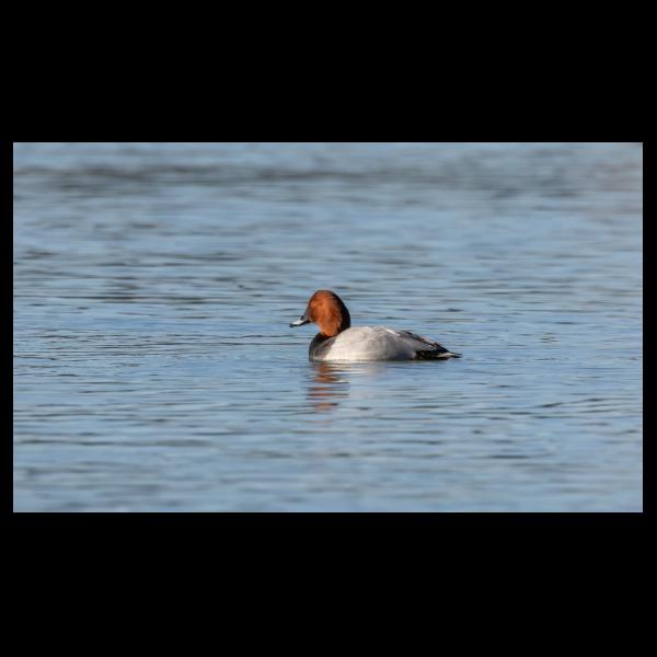 PHOTO84, CLUB, 84 , LUBERON